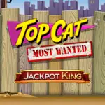 Top Cat Most Wanted Jackpot King